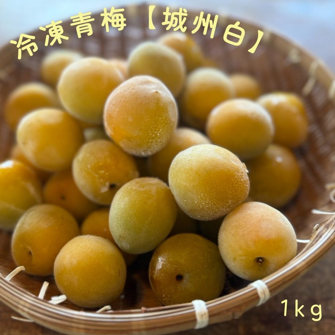 新鮮 青梅 約50個入り 新鮮 青梅 約50個入り 新鮮 青梅 約50個入り