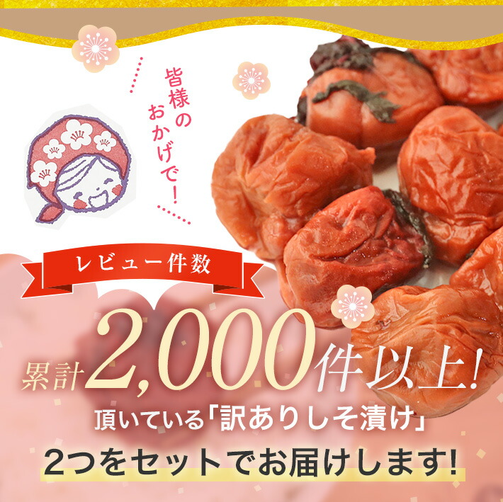 最大92%OFFクーポン 紀州南高梅 しそ漬け400ｇ×2 つぶれ梅 訳あり 塩分7％ 送料無料 ※一部地域対象外 qdtek.vn
