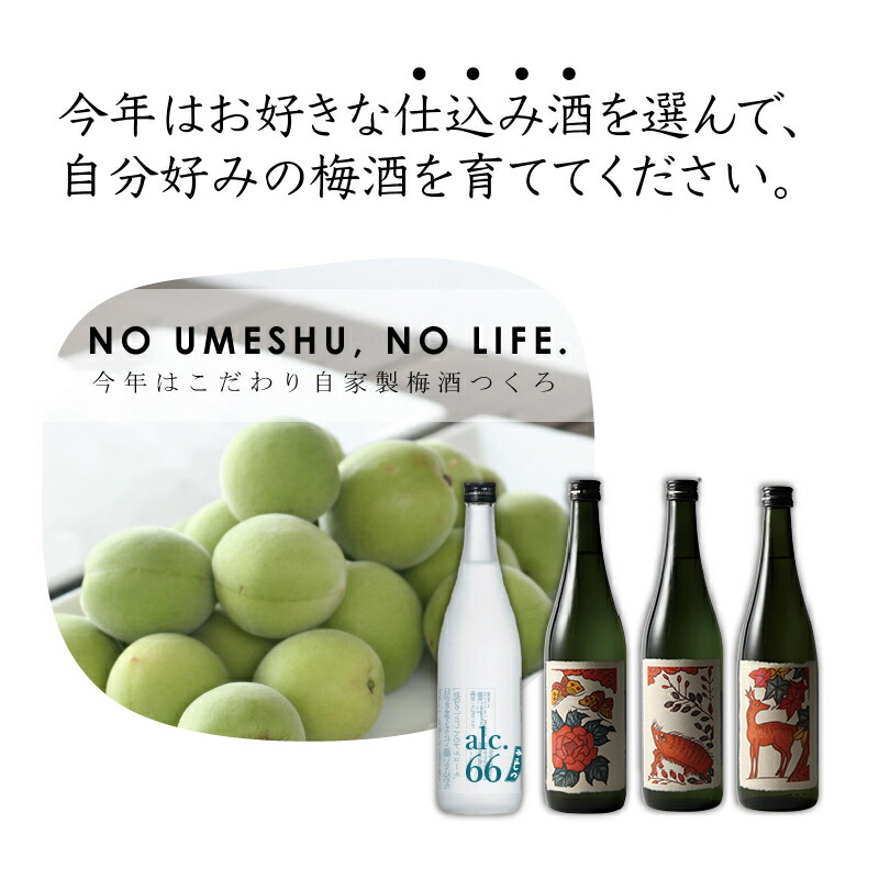 楽天市場 おうち梅酒キット 選べる仕込み酒 梅の実 ラベル付き 予約販売 6月中旬以降 発送 クール便 梅酒屋