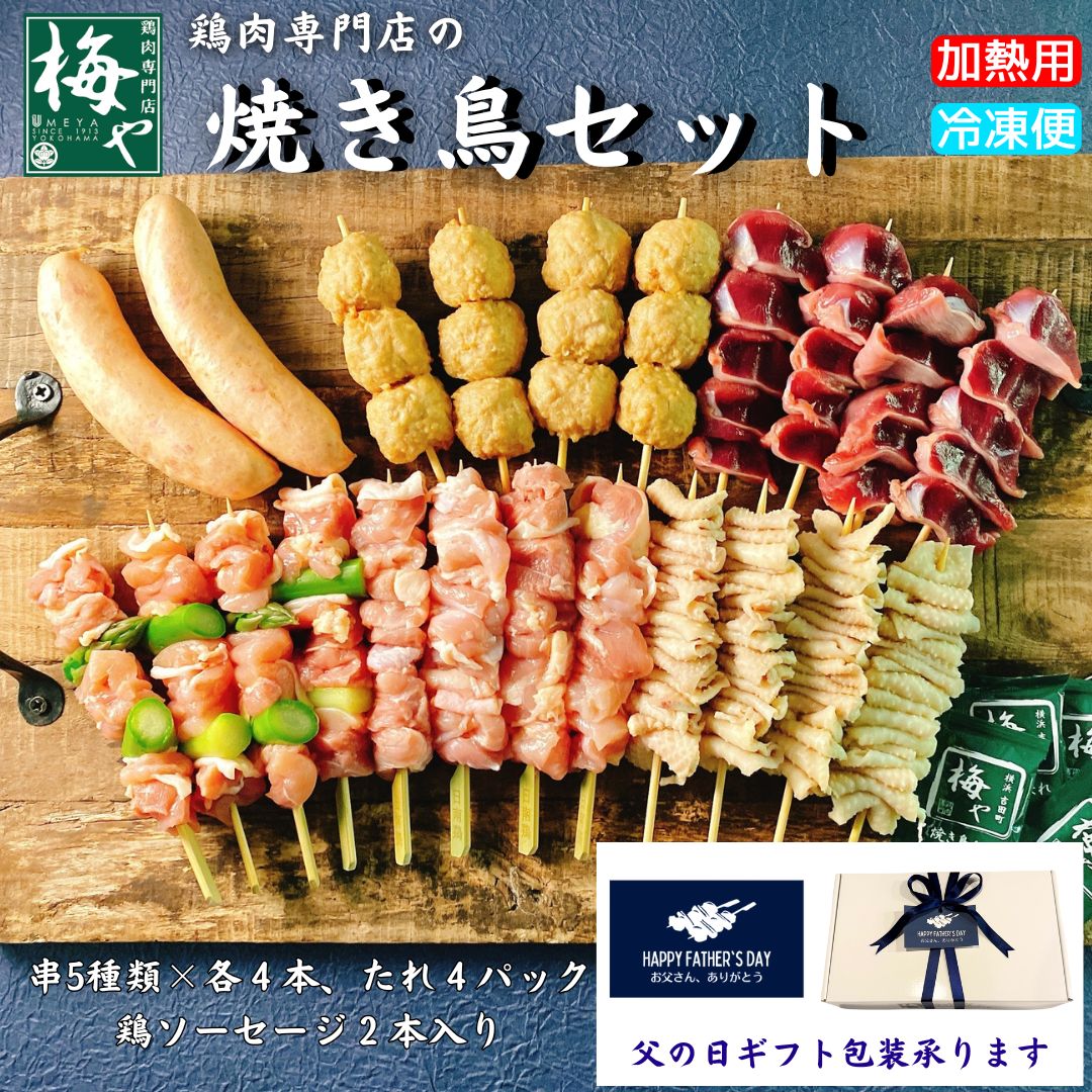鶏肉専門店の焼き鳥セット やきとり yakitori バーベキュー BBQ ソーセージ 冷凍 家飲み お中元 簡単 父の日 ホームパーティー お花見 行楽 キャンプ BBQ 日南どり もも肉 つくね 鶏皮 砂肝 アスパラ 串