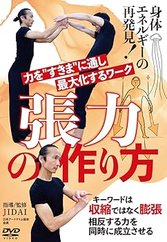 【中古】身体エネルギーの再発見【張力の作り方】力を\
