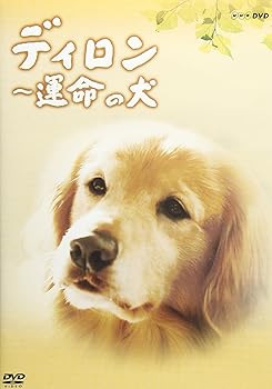 【中古】ディロン 運命の犬 [DVD]