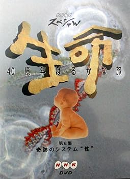 【中古】NHKスペシャル 生命40億年はるかな旅 第6集:奇跡のシステム“性\