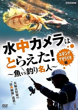 【中古】水中カメラはとらえた! 魚VS釣り名人 エギング アオリイカ編 [DVD]