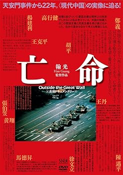 【中古】亡命 [DVD]