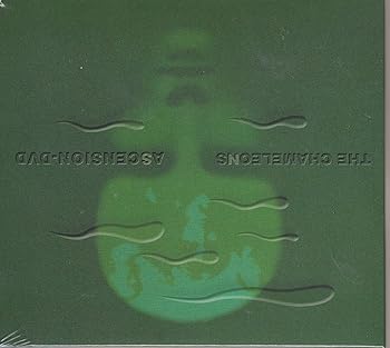 【中古】Ascension [DVD]｜Umibose店