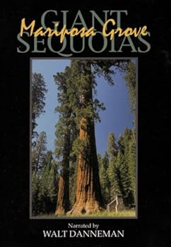 【中古】Giant Sequoias: Mariposa Grove [DVD]｜Umibose店