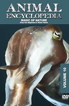 【中古】Animal Encyclopedia 10: Deep Sea Magicians & Water [DVD]｜Umibose店