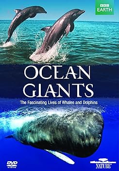 【中古】Ocean Giants [DVD]｜Umibose店