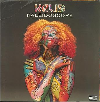 【中古】Kaleidoscope [12 inch Analog]｜Umibose店