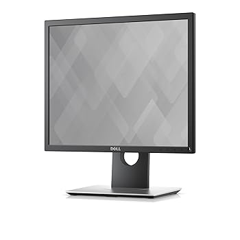【中古】DELL 19 L P1917S。
