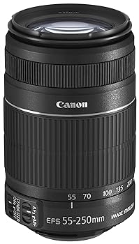 【中古】Canon EF-S55-250粍 F4-5.6 IS II 【白箱手合い】