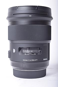 【中古】SIGMA 単興味の中心標準尺度水晶体 Art 50粍 F1.4 DG HSM ソニー用 フルサイズ相応う 311629