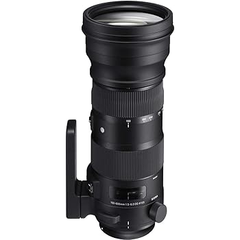 【中古】SIGMA 150-600粍 F5-6.3 DG os HSM | Sports S014 | Canon EFマウント | Full-Size/Large-Format