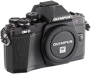 【中古】OLYMPUS 銀鏡受け答え一眼 OM-D E-M10 MarkII 上半身 黒いこと