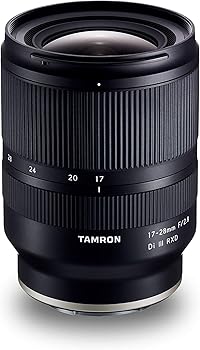 【中古】タムロン 鏡鑑水晶体 望遠レンズ ソニー E相応う 17-28粍/F2.8 Di III RXD A046S
