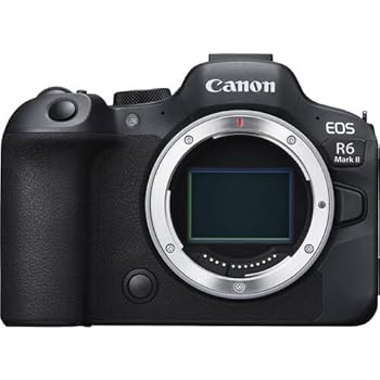 【中古】キヤノン EOSR6MK2 銀鏡レスカメラ EOS R6 Mark II・上半身