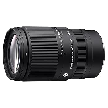 【中古】シグマ(Sigma) 水晶体 16-300粍 F3.5-6.7 DC os Sony E マウント 高倍率望遠レンズ 標準尺度 APS-C Cantemporary 鏡鑑受け答え専用