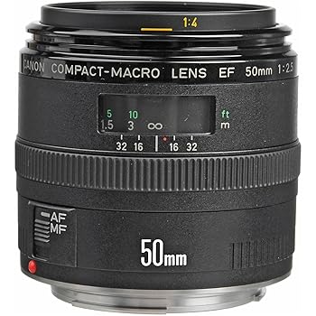 【中古】キヤノン EF 50 粍 f / 2.5コンパクトマクロレンズ