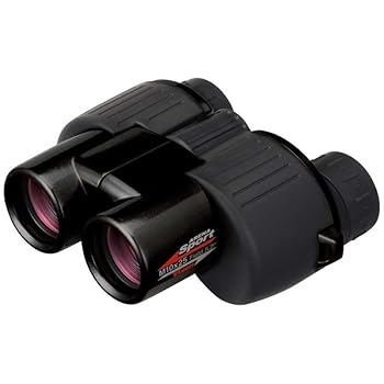 【中古】ビクセン 小型望遠鏡 競技場運動競技M10X25 黒いこと