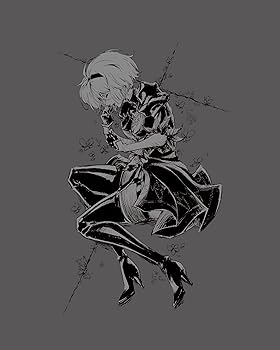【中古】NieR:Automata Ver1.1a DVD BOX Vol.1(完全生産限定版) [DVD]｜Umibose店