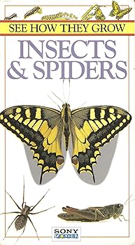 【中古】See How They Grow: Insects & Spiders [VHS]｜Umibose店