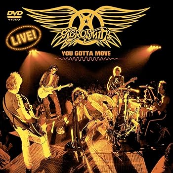 【中古】You Gotta Move [DVD]｜Umibose店