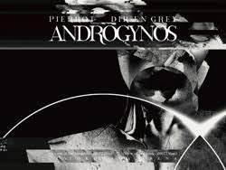 【中古】PIERROT DIR EN GREY ANDROGYNOS Blu-ray【豪華盤】|Umibose店