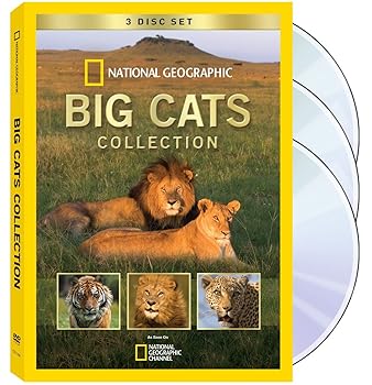 【中古】Big Cats Collection [DVD]｜Umibose店