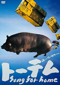 【中古】トーテム song for home [DVD]｜Umibose店