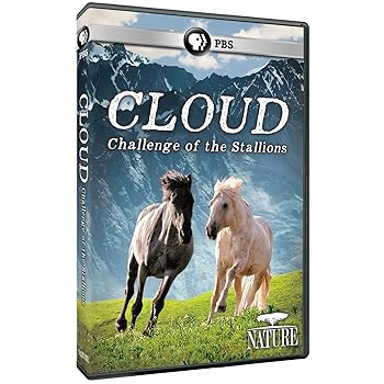 【中古】Nature: Cloud: Challenge of the Stallions [DVD] [Import]｜Umibose店