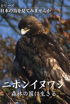 【中古】シリーズ日本の鳥を見てみませんか ニホンイヌワシ 森林の国に生きる [DVD]｜Umibose店