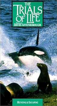【中古】Trials of Life: Hunting & Escaping [VHS]｜Umibose店