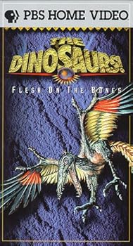 【中古】Dinosaurs: Flesh on the Bones [VHS]｜Umibose店