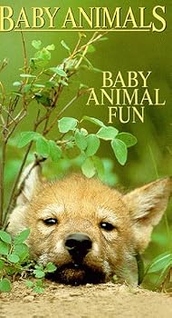 【中古】Baby Animals: Baby Animals Fun [VHS]｜Umibose店