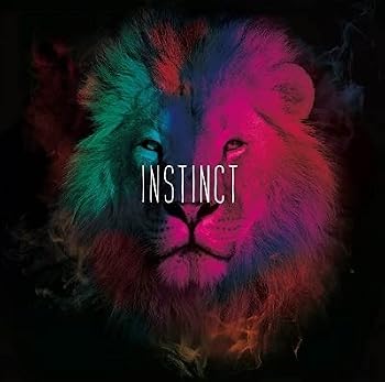 【中古】INSTINCT｜Umibose店