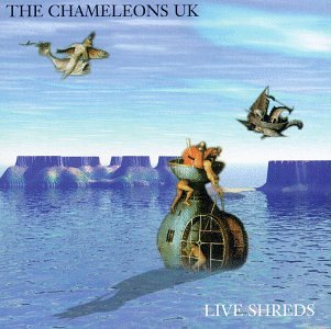 【中古】Live Shreds｜Umibose店