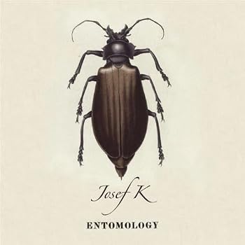 【中古】Entomology｜Umibose店