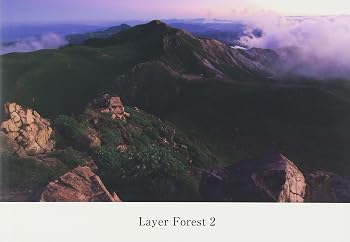 【中古】Layer Forest 2｜Umibose店 40,006円
