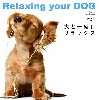【中古】音のサプリメント#31 犬と一緒にリラックス｜Umibose店