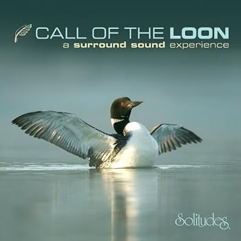 【中古】Call of the Loons|Umibose店