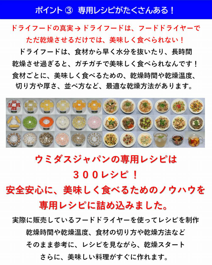 実物 フードドライヤー ウミダスジャパン 食品乾燥機 FD880E propcrowdy.com