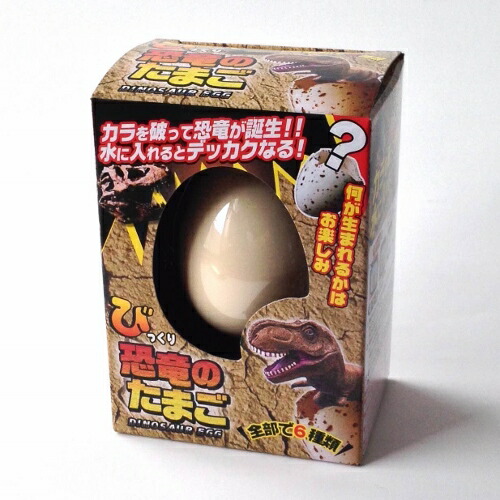 楽天市場】ドラゴンのタマゴ 水のなかで大きくなる《幼稚園