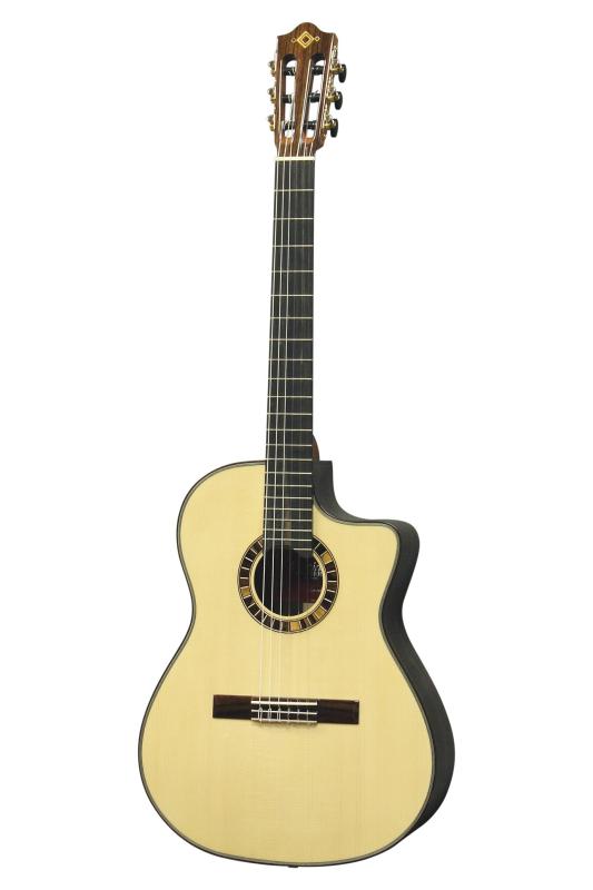 マコトちゃん【ほぼ新品】クラッシック＆エレガットギター &備品フルセット 楽天市場】Martinez MP-14 / MH Artistマルチネス クラシック