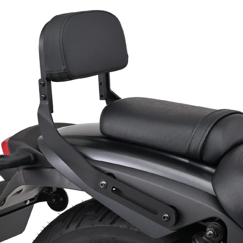 デイトナ(Daytona) エリミネーター/SE(24)専用 バックレスト タンデムライダー用 ツールバッグ装着可 バックレストキット 38522