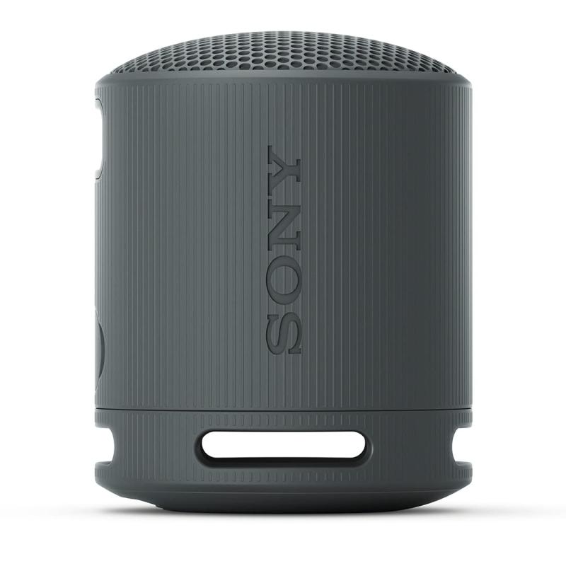 SRS-XB100