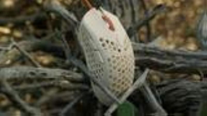 Finalmouse Ultralight 2 - Cape Town USB ゲーミングマウス｜海の風ストア