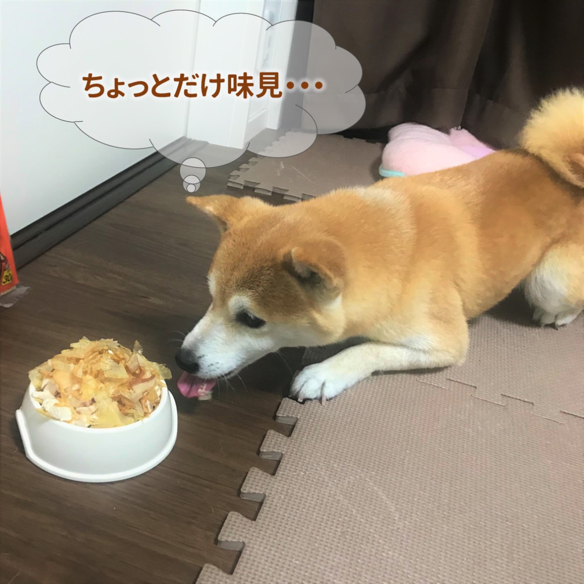 まとめ買い 猫 15袋 高たんぱく 30g かつおぶし サーモンだいすき 犬のおやつ マルトモ店 犬 おやつ 鰹節 鮭節 猫のおやつ