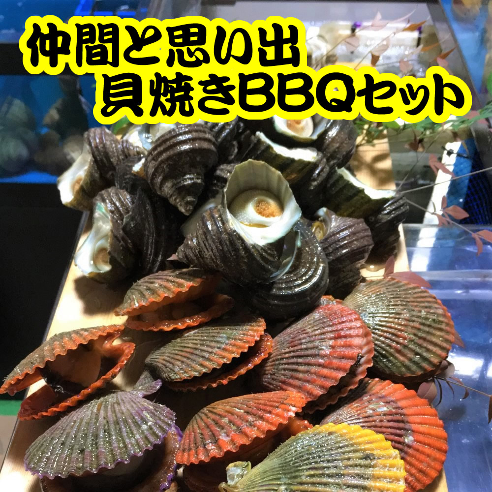 楽天市場 国産天然活きサザエ 中 ５ｋｇ 45 55個 直送 壺焼き 浜焼き バーベキュー 贈答 刺し身 貝 タウリン 活海老 貝 卸の店うみさち