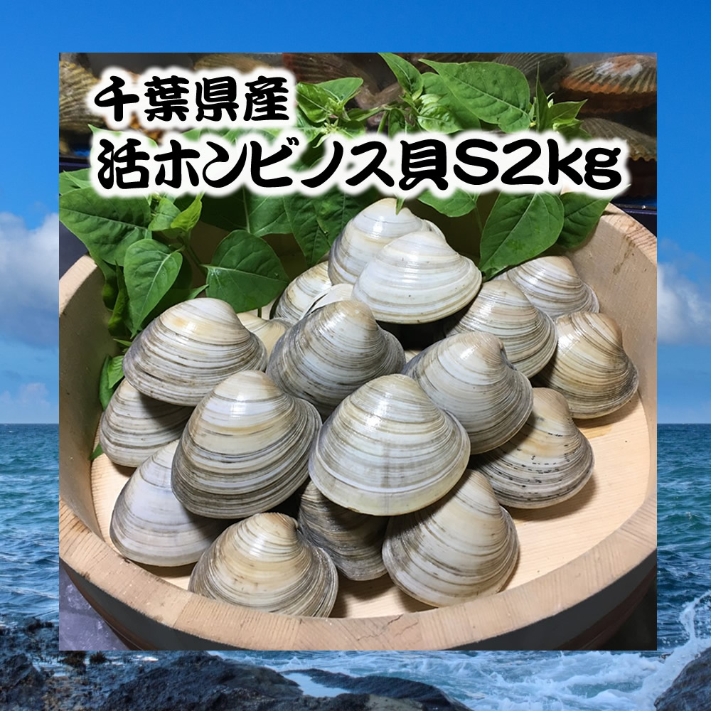 市場 千葉県産天然特大ハマグリ1kg 浜焼き バーベキュー 天然 10〜12個 直送